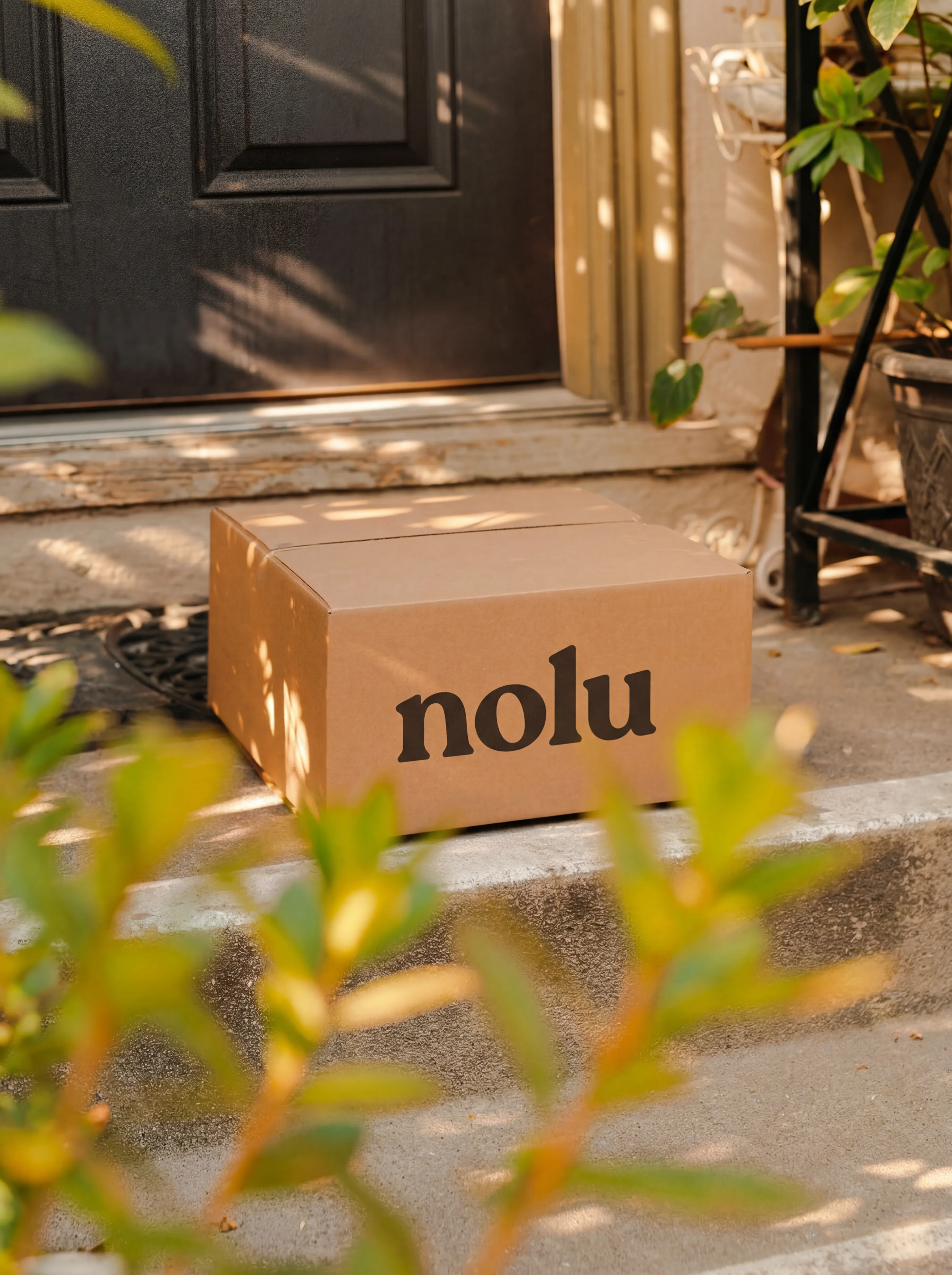 Plain-packaged nolu shipment at the door